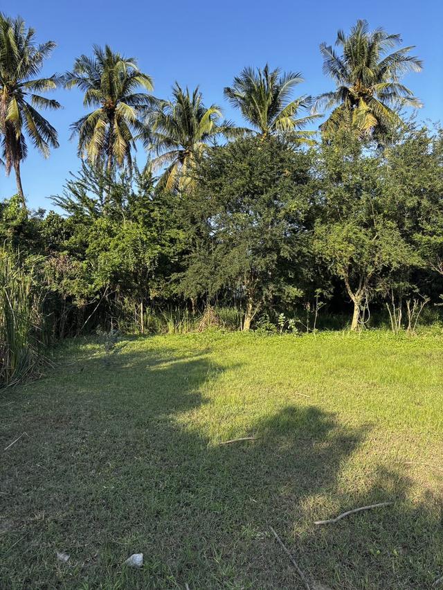 ที่ดินติดถนน ขายด่วน! 7 ไร่ 57 ตรว. อ.บ้านโป่ง ราชบุรี | เจ้าของขายเอง  9