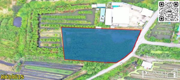 ขายที่ถมสวย 727 วา หน้ากว้าง 41 เมตร ทรงดี เดินทางสะดวกมาก ใกล้ ถ.พุทธสาคร แคราย และบางบอน 5 - KK3461S 3