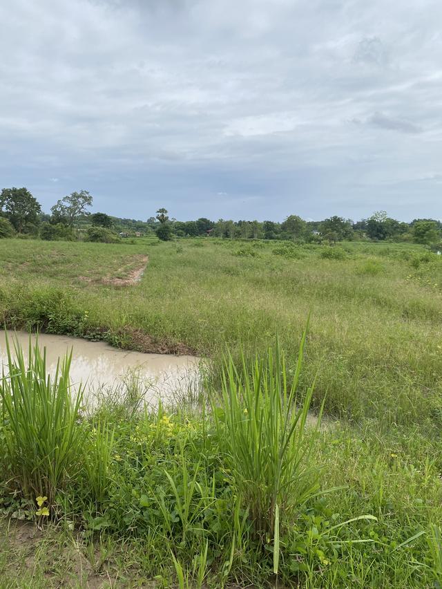 ขายที่ดิน 3 ไร่ ไกล้วัดหลวงตามหาบัว 2