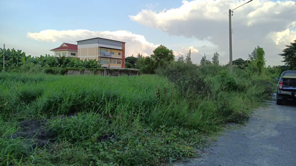 ที่ดิน ใกล้ ม.มหิดล ศาลายา 7