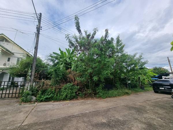 ขายที่ดินเปล่า 70ตรว. คลอง11 หมู่บ้านนริศรา ซ.4 ถูกกว่าราคาประเมิน เจ้าของขายเอง โทร 0969654945 4