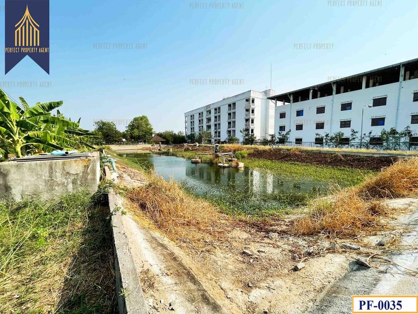ขายโรงงาน ห้องเย็น ใกล้บ้านโพธิ์ ฉะเชิงเทรา คลองประเวศ ฉะเชิงเทรา 10