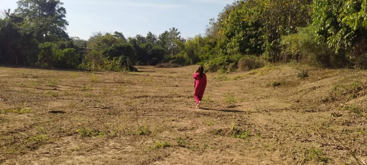 ที่โฉนดติดแม่น้ำวังพื้นที่ 5ไร่2งาน69ตรว.1.9 ล้านบาท (ฟรีโอน)ด้านในบริเวณที่ดินปลูกไม้สัก ลำไย มะม่วงที่ดินมี2ระดับชั้น ชั้นบนจะอยู่ระดับเดียวกับถน 6