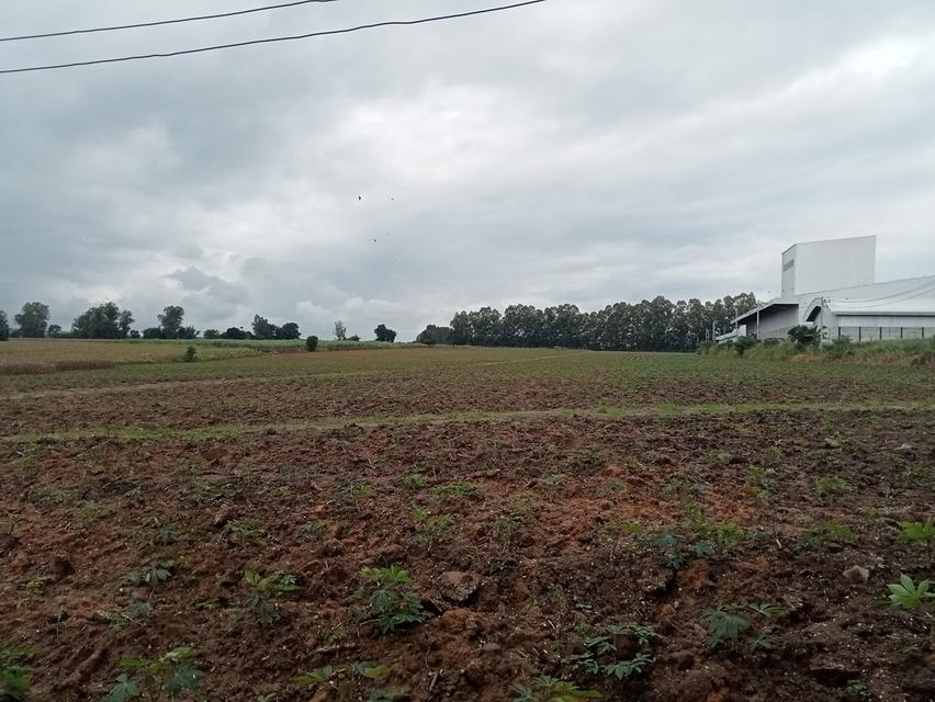 ขายที่ดิน ปักธงชัย ใกล้สหกรณ์ ลาน3 10