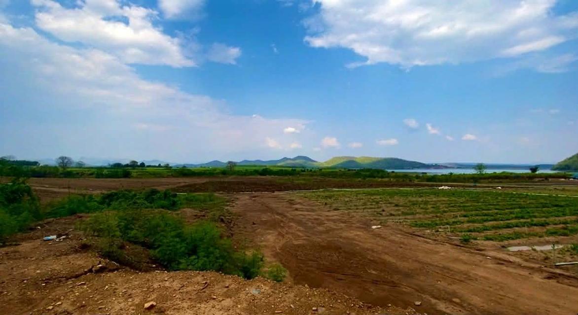 ต้องการขายที่ดินอยู่อำเภอหนองปรือจังหวัดกาญจนบุรี 16