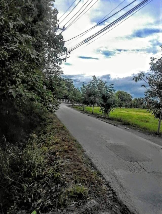 ขายที่ดิน 2 ไร่พร้อมบ้าน 9