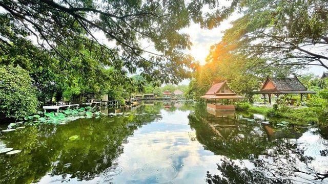 มหิดล ศาลายาขายที่ดิน-เรือนไทย-เรือนแต่งงาน คาเฟ่กาแฟ-ร้านอาหาร 10.5 ไร่ 199 ล้านบาท บางใหญ่ นนทบุรี สตูดิโอ ตลาดกิเลน ว 5