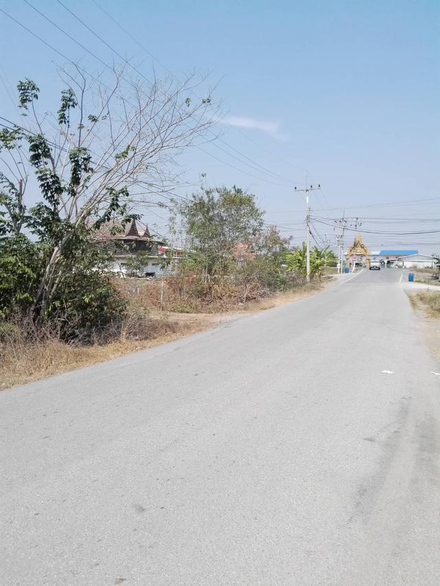 ที่ดิน ต.บัวปากท่า อ.บางเลน จ.นครปฐม 5