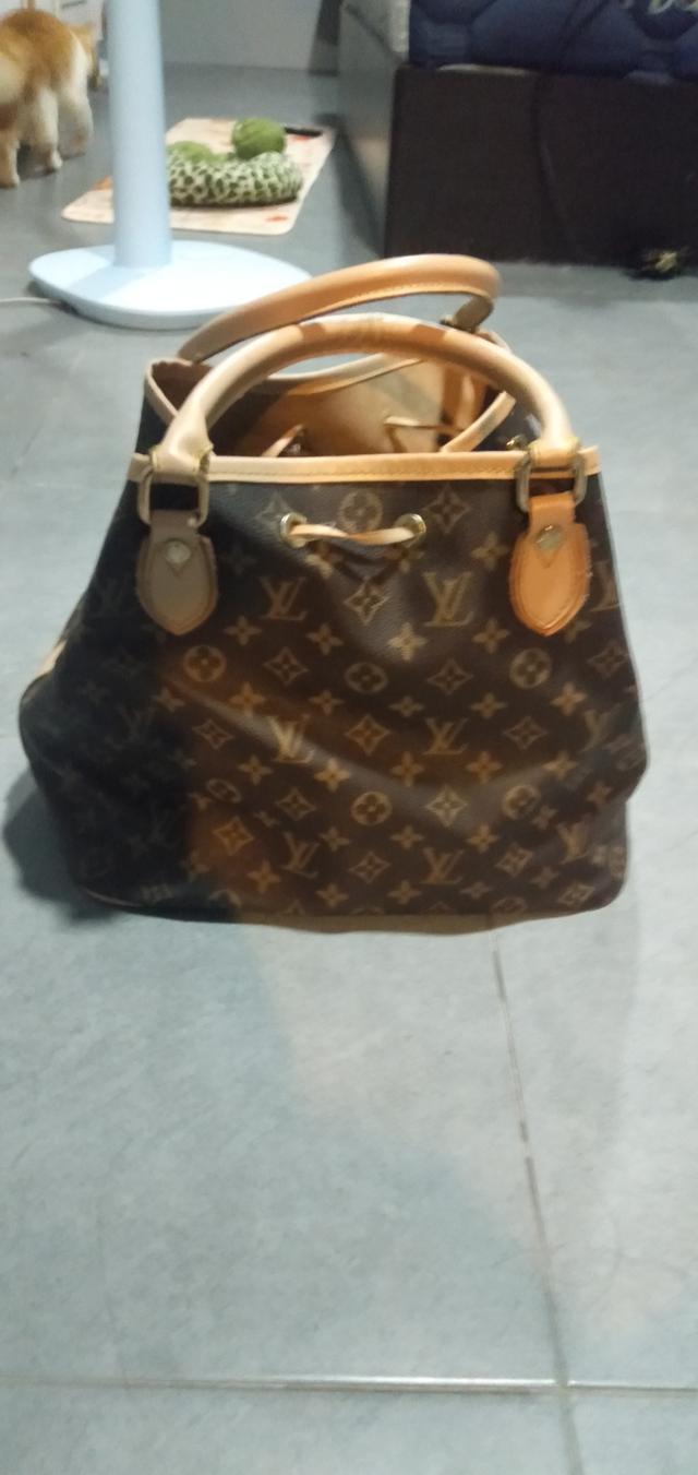 louis Vuitton monogram  2