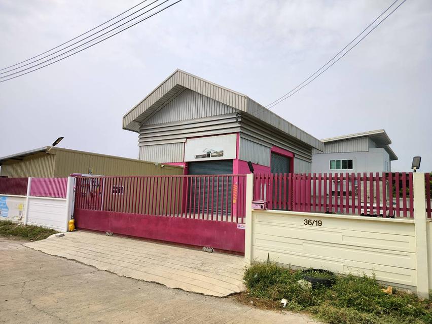 ขายที่ดิน+โกดัง 7