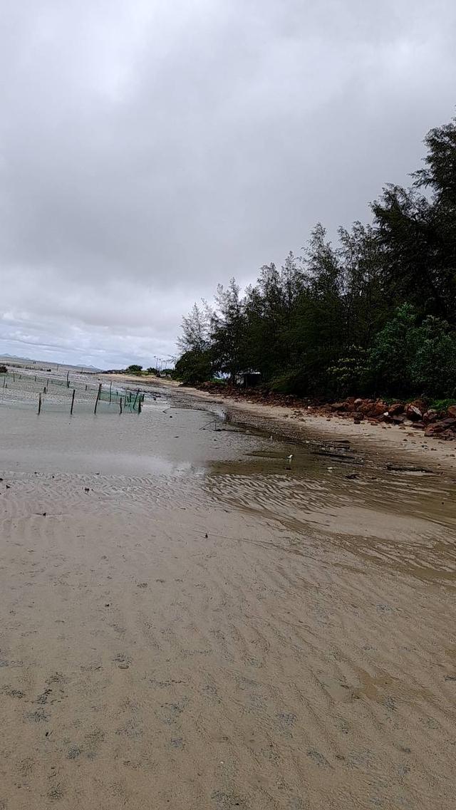 ขายเกาะและที่ดินติดชายหาดส่วนตัว 23 ไร่ ที่แหลมกลัด จ.ตราด ราคาสุดคุ้มเพียง 92 ล้านบาท 3