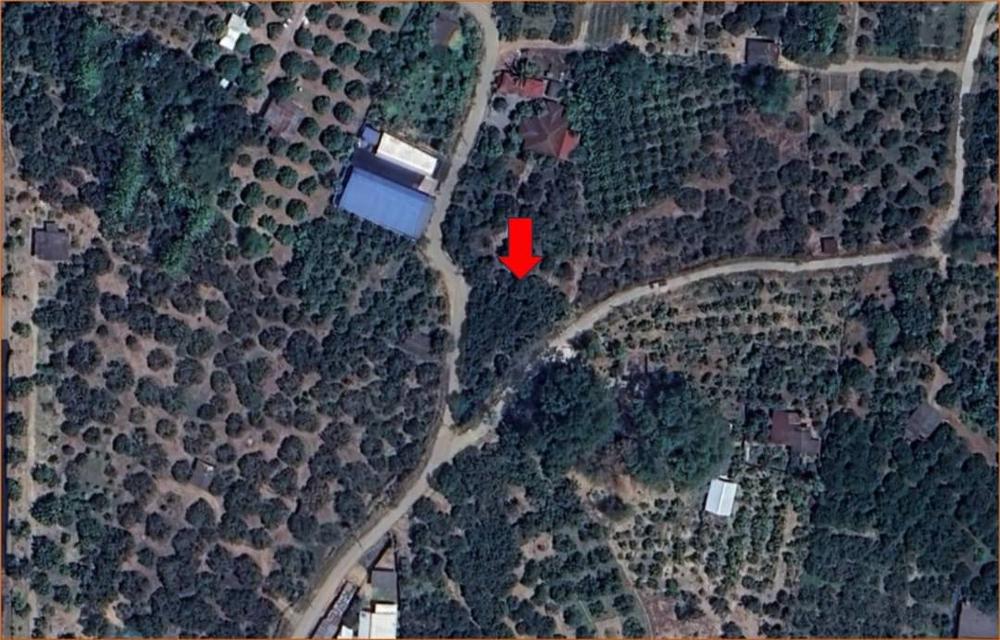 ขายที่ดินโฉนดครุฑแดง (เจ้าของขายเอง) 17