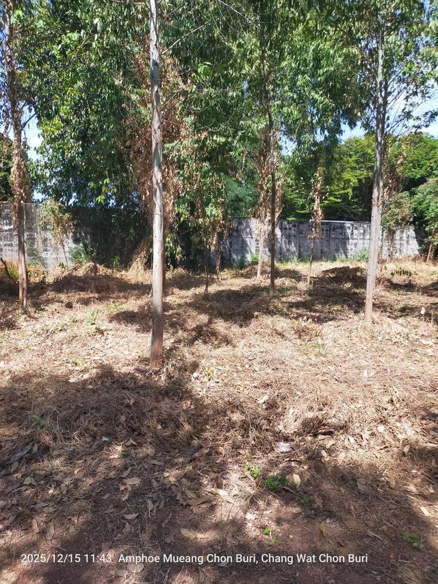 ที่ดินเปล่า ใกล้ห้างเซ็นทรัลชลบุรี 3