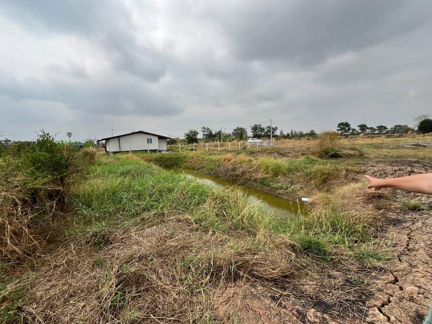 ขายที่ดินจังหวัดสุพรรณบุรี 1