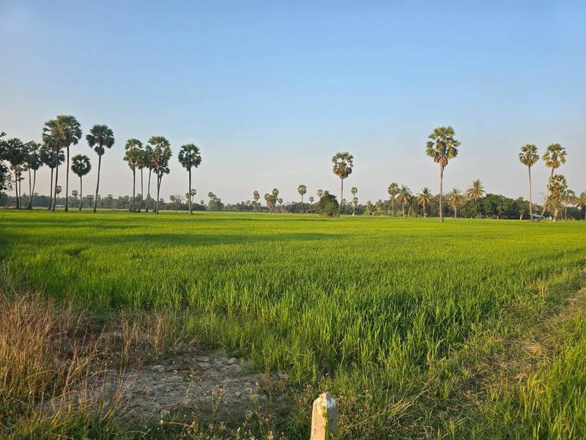 Vายด่วนที่ดินแปลงสวย ขนาด 6-3-12 ไร่ ต.บ้านลาด อ.เมือง จ.เพชรบุรี (จ้าของขายเอง) 6