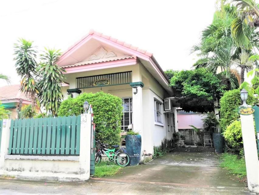 บ้านเดี่ยวชั้นเดียวร่มรื่นย่านธุรกิจ 2