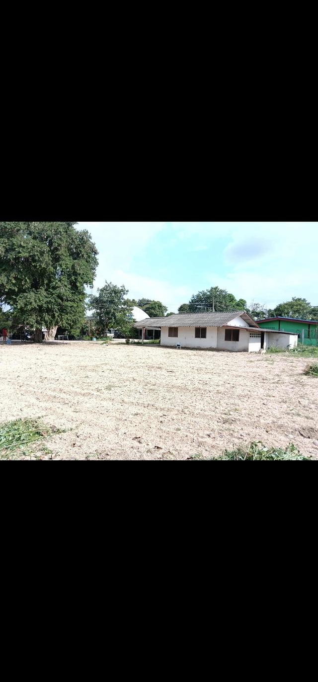 บ้านพร้อมที่ดิน3งาน46ตรว.9แสน5บ.ติดถนนนคอนกรีตเส้นหลักในหมู่บ้านท่าอิปะก่อนถึงแก่งท่าอิปะ200ม.ต.ด่านทับตะโกอ.จอมบึงจ.ราบุรีเจ้าของขายเองโทร.0813966888 รูปย่อยที่ 2