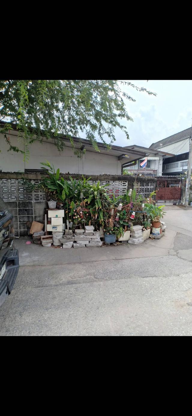 Sale Land for House Sukhumvit 93 BTS Bang Chak 1