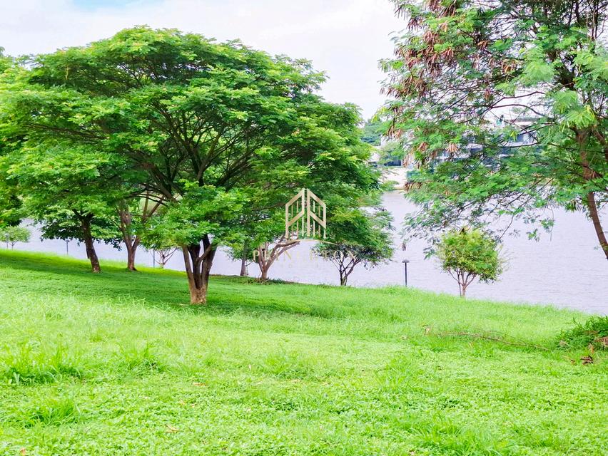 Lakefront Land – Prime Nature Villa ที่ดินริมทะเลสาบ – ไพร์ม เนเจอร์ วิลล่า 8