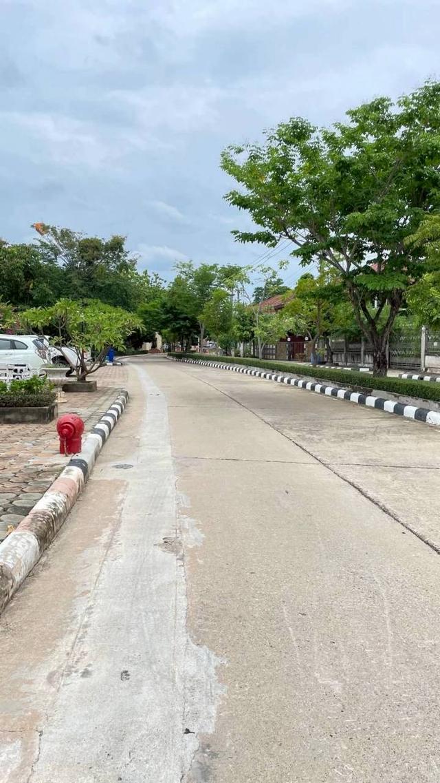 ⭐บ้านเดี่ยวที่ดิน51.ตรว. หมู่บ้านพงษ์ศิริชัย3  ติดถนนบรมราชชนนี กทม. 4ห้องนอน2ห้องน้ำ พื้นที่ใช้สอยในบ้าน178ตรม. หันหน้าทิศเหนือ ราคาพิเศษ 5.19Mb 7