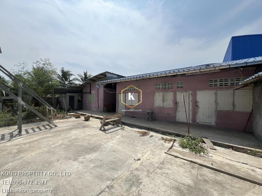 ให้เช่าโกดัง ล้งมะพร้าว พร้อมห้องเย็น สามพราน นครปฐม ขนาด 2 ไร่ 12