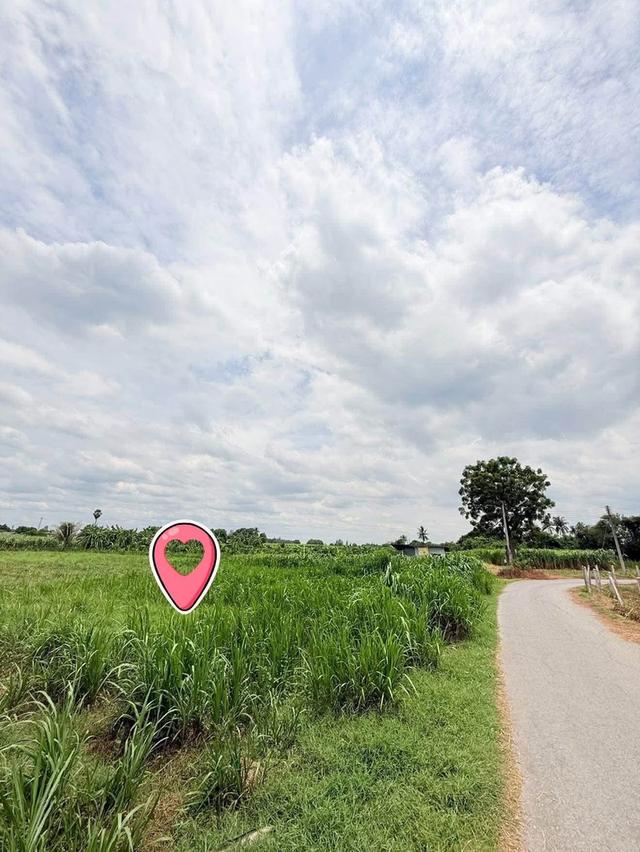 ที่ดินสวยใกล้มอเตอร์เวย์ m81 ด่านท่ามะกาขาขึ้น-ลงเนื้อที่1ไร่ 25 ตร.วา ยกแปลง 750,000 บาทต่อรองได้ 4