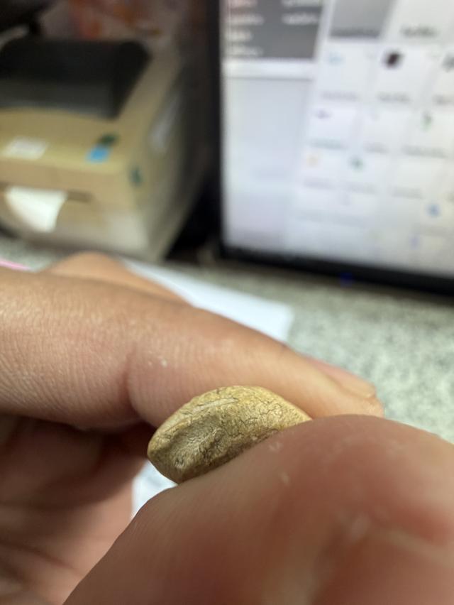 กรุวัดพลับ พิมพ์ไม่สมบูรณ์ แต่เนื้อจัดจ้านมาก รูปที่ 7