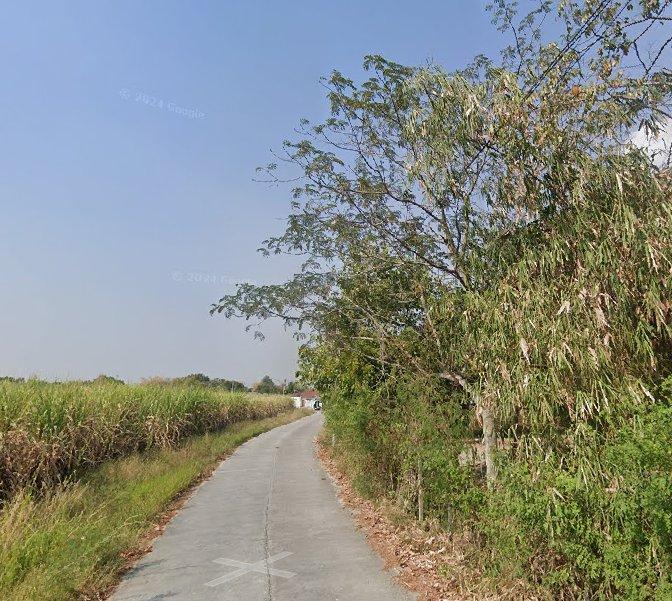 ขายที่ดินหนองหงษ์ 2 ไร่ ติดถนนคอนกรีต ใกล้ถนนเส้นชบ.3023-200เมตร อ.พานทอง ชลบุรี 2