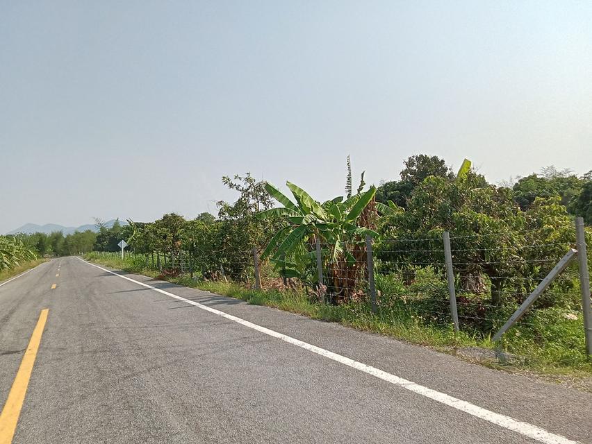 ขายที่ดินสวนลำใย 12 ไร่ นครเจดีย์ ป่าซาง ติดถนน ไฟฟ้าผ่าน ใกล้ชุมชน 1