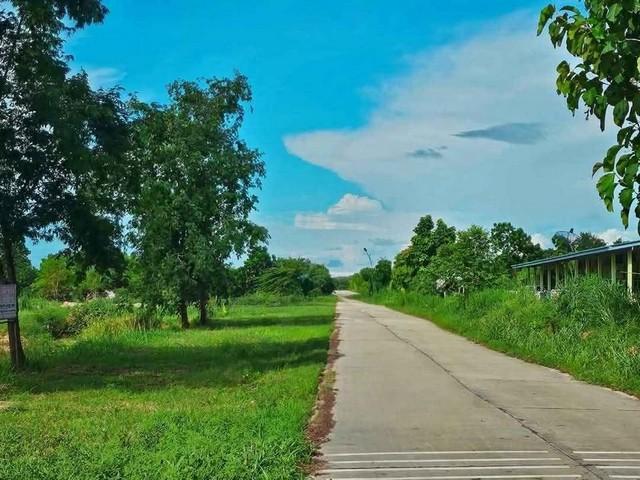 ขายที่ดินสวยใกล้อมตะนครชลบุรี ที่ดินอยู่ใกล้โครงการหมู่บ้านและโรงงานอุตสาหกรรมอมตะนคร ❇️บนเนื้อที่ 10 ไร่ 3