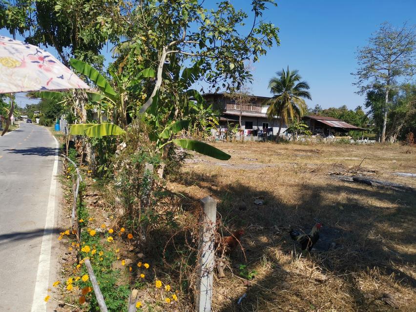 ที่ดินเปล่าถมแล้ว ต.ในเมือง จ.ร้อยเอ็ด เจ้าของขายเอง 4