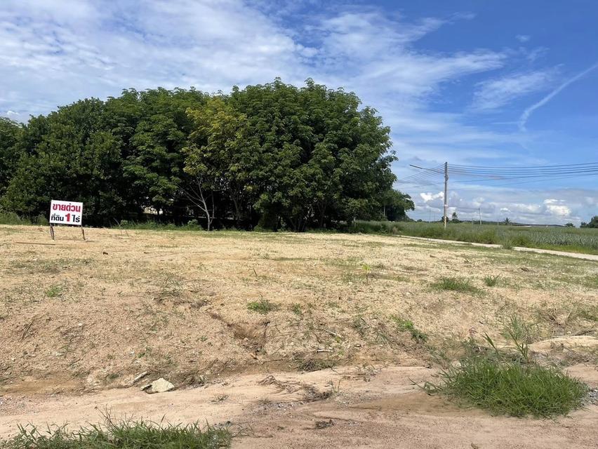 ขายที่ดินสีม่วงลายบ่อวิน 1 ไร่ ซอยเยาวเรศถมแล้วติดถนน2ด้าน ใกล้นิคมอีสเทอร์ซีบอร์ด-5กม. อ.ศรีราชา ชลบุรี 2