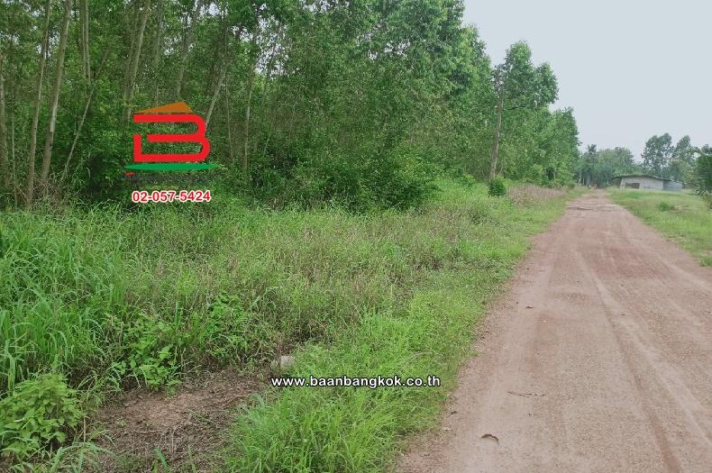 ที่ดินเปล่า ตำบลท่าบุญมี (สี่แยกเกาะโพธิ์) เนื้อที่ 71-0-22 ไร่ (ใกล้อ่างเก็บน้ำคลองหลวงรัชชโลทร) ตำบลท่าบุญมี อำเภอเกาะจันทร์ จังหวัดชลบุรี 2