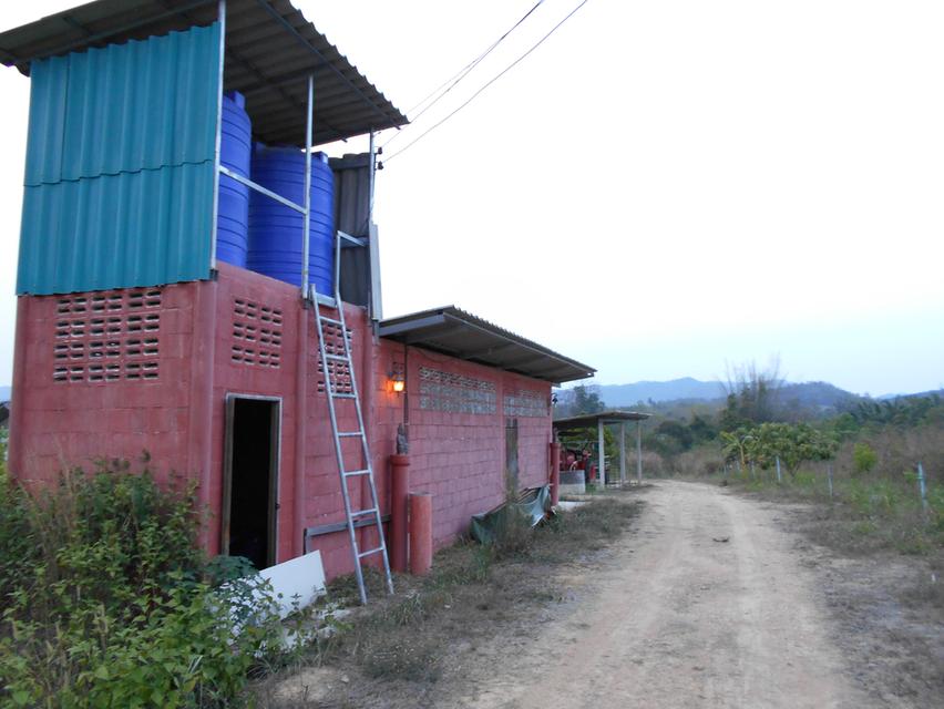 ขายที่ดิน 10 ไร่ พร้อมบ้าน ติดลำห้วย 3 สาย ต.บ้านบึง อ.บ้านคา จ.ราชบุรี 13