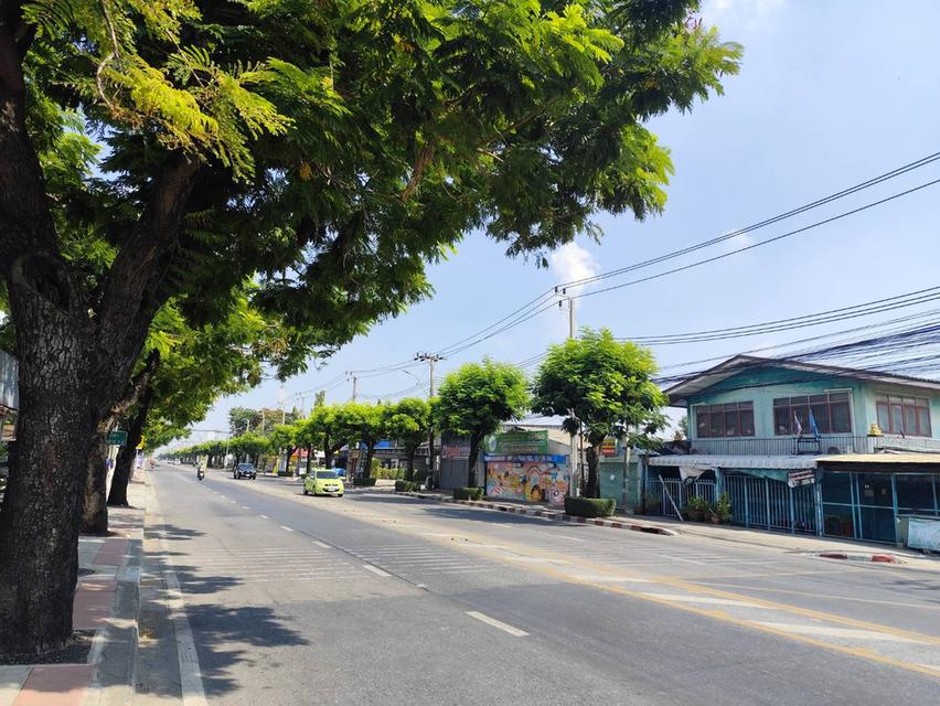 house for sale Prawet, Bangkok ขายบ้านเดี่ยวเก่า  ใกล้สวนหลวง ร9 1