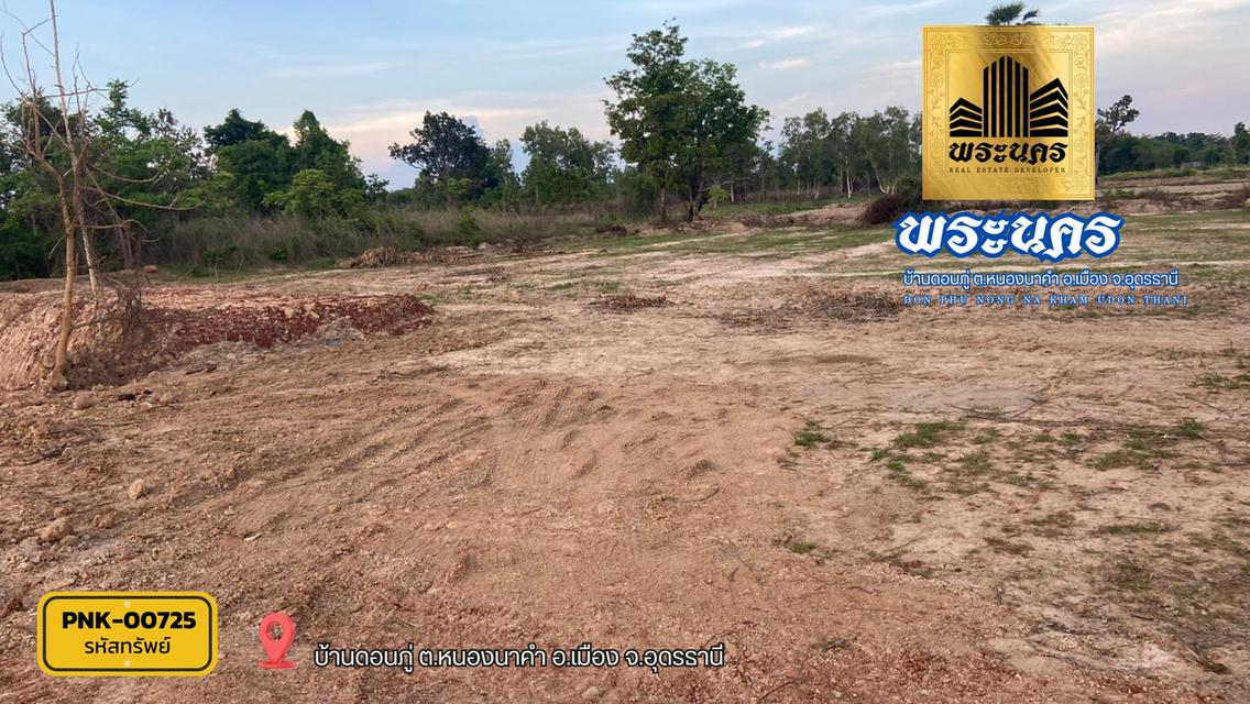 ที่ดิน 2