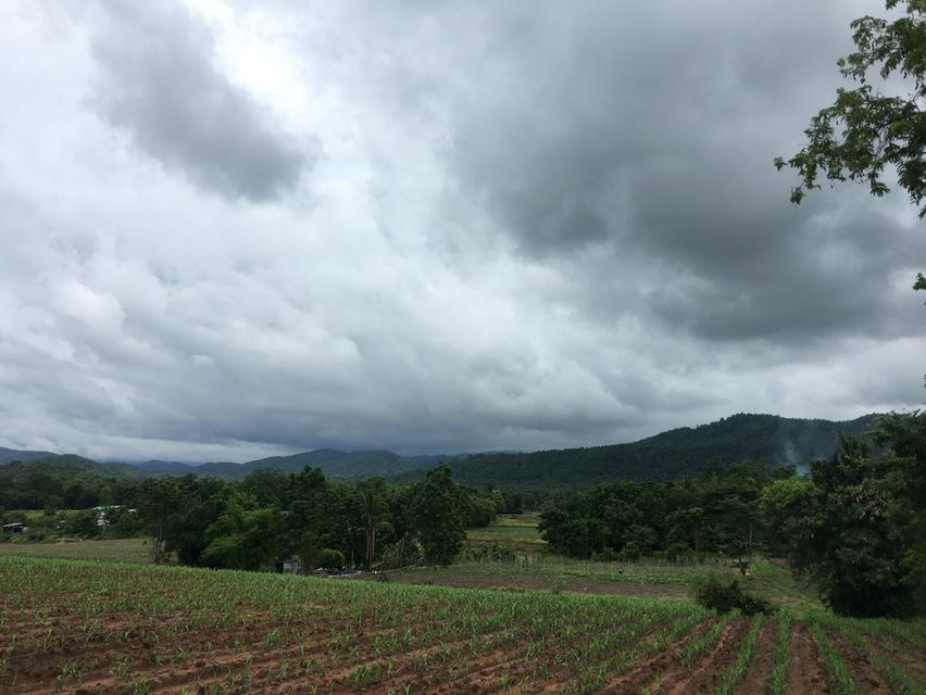 🌄 ขายที่ดิน 3 ไร่ วิวเขาใกล้เขาค้อ จ.เพชรบูรณ์