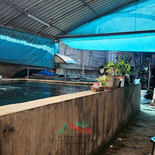 ขายบ้านพร้อมโกดัง220ตรว. ซ.สุขสวัสดิ์66 ทำเลดี พื้นที่ใช้สอยเยอะ ราคาพร้อมคุย 8