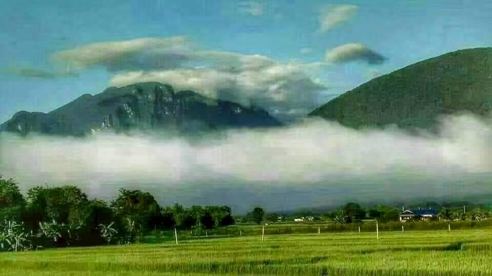 ขายที่ดินพร้อมบ้านและเฟอร์วิวดอยหลวง