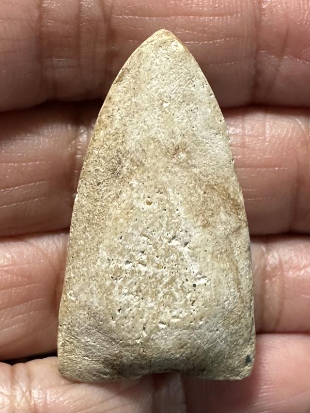 หลวงปู่ทวด เนื้อขาว องค์ละ 1550 รูปย่อยที่ 2