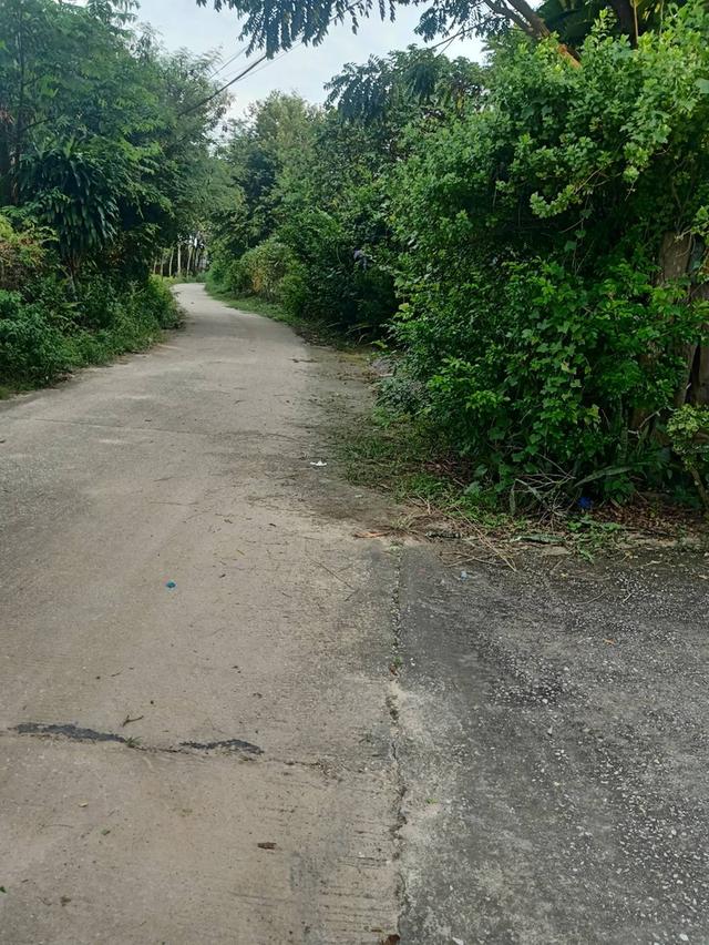 ที่ดินพร้อมอาคาร ห้องแถว โกดังเก็บของ 15