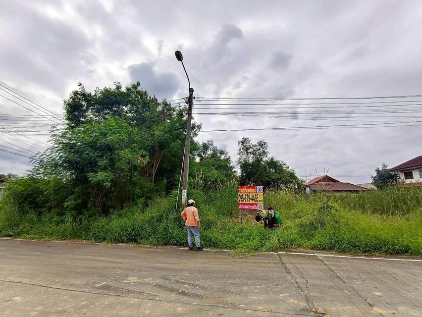 ที่ดิน 9