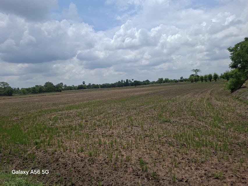 ขายที่ดิน 31 ไร่ 322 ตร.วา ติดถนนใหญ่ หนองขาหย่าง อุทัยธานี ผังเมืองสีชมพู 12