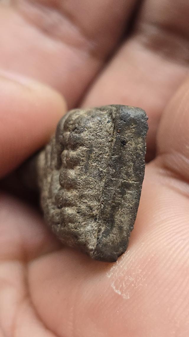 หลวงพ่อทวดเนื้อว่าน ปี 2497  5