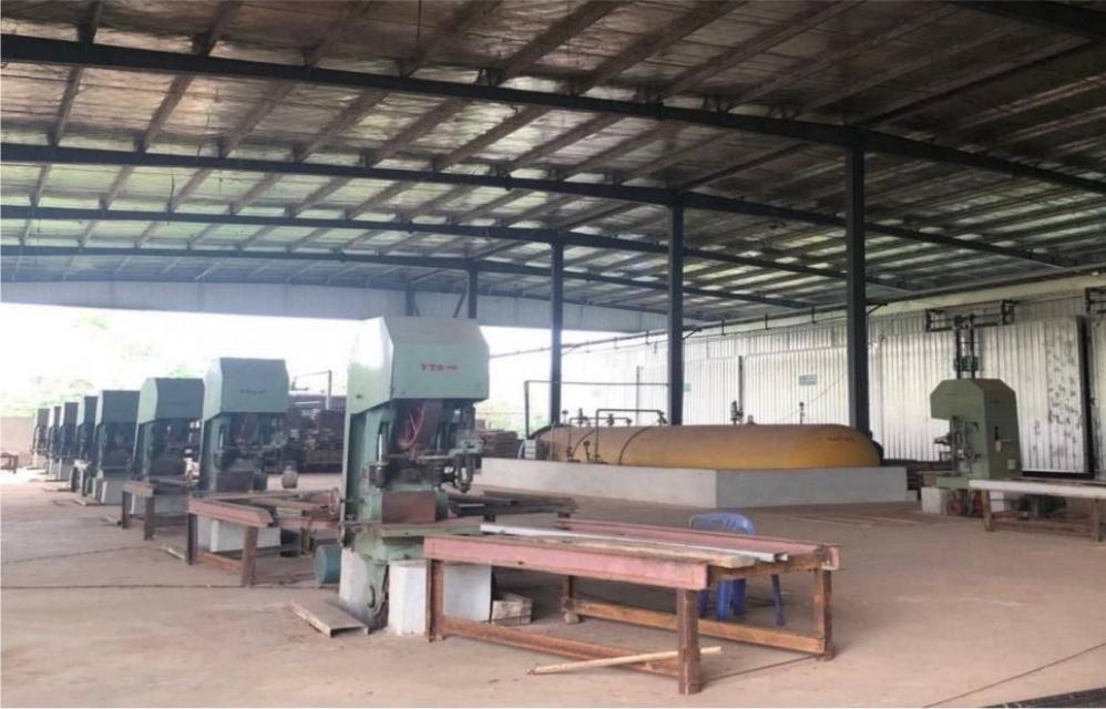 ขายด่วน! โรงงาน อ.เมือง บึงกาฬ เนื้อที่ 8 ไร่ 2 งาน (ขยายได้ถึง 20 ไร่) ต่ำกว่าราคาประเมินเกือบ 15 ล้าน | โรงงานไม้ยางพา 3