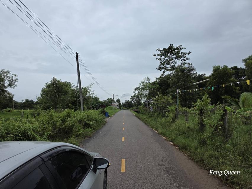 ที่ดินเปล่า บ้านพัก ตึกอาคาร 8