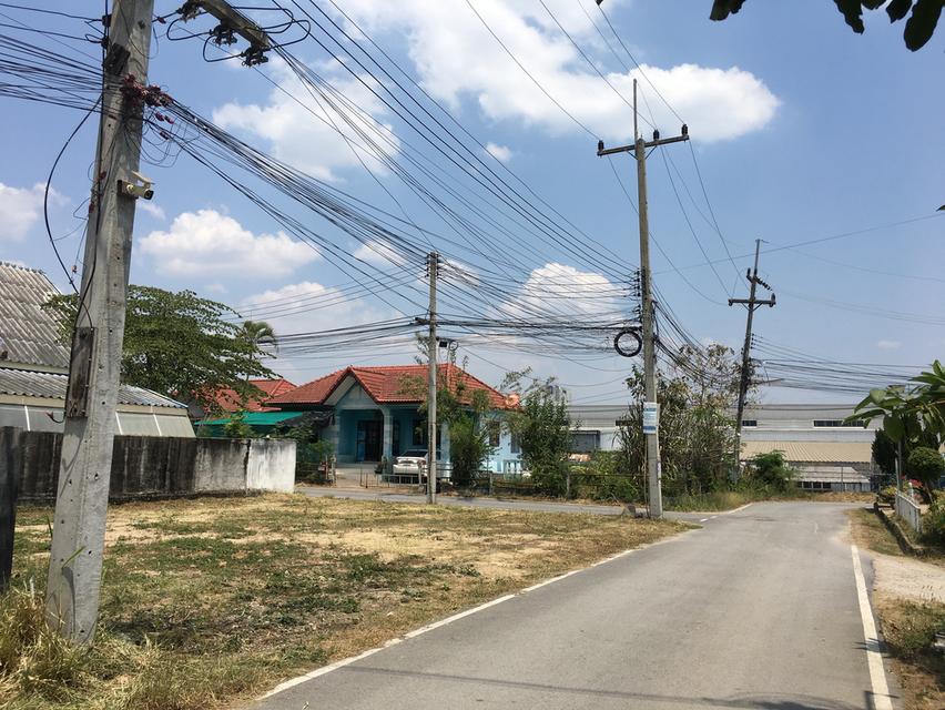 อยู่สะดวกสบาย ทำเลดี 50 ตรว. 13