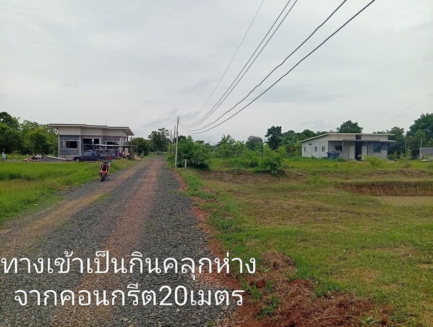 📢ขายที่ดินเหมาะสำหรับปลูกบ้าน ขนาดกำลังพอดี เงียบ สงบ มีเพื่อนบ้าน น้ำ ไฟ ผ่าน โฉนดไม่ติดภาระผูกพันใดๆพร้อมโอนทุกแปลง  🙏ขายที่ดินเปล่า 150 ตารางวา แ 4