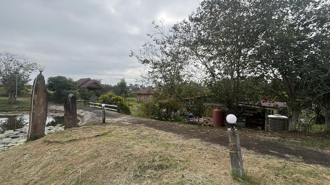 ทอไหม ไอหมอก รีสอร์ท 8 ไร่ 9.5 ล้าน บ.ไทรทอง อ.วังน้ำเขียว 8