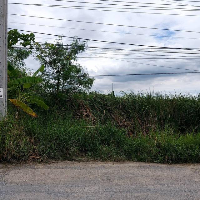 ขายที่ดิน ทำเลดี ที่สวย 2